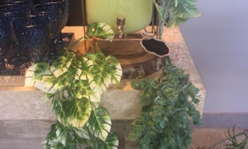 EVENTO FEIJOADA EUROAMERICA - Galeria - 10