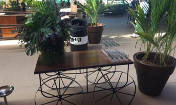 FLAMBOYANT IN CONCERT - Galeria - 6