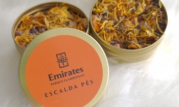 EVENTO FEIJOADA EUROAMÉRICA - Galeria - 3