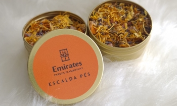 SOUSA ANDRADE CONSTRUTORA - Galeria - 9